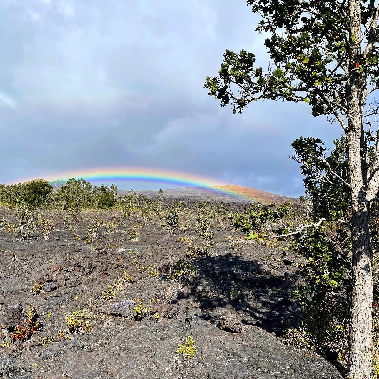 Hawaii Volcano National Park: Rainbow Connection