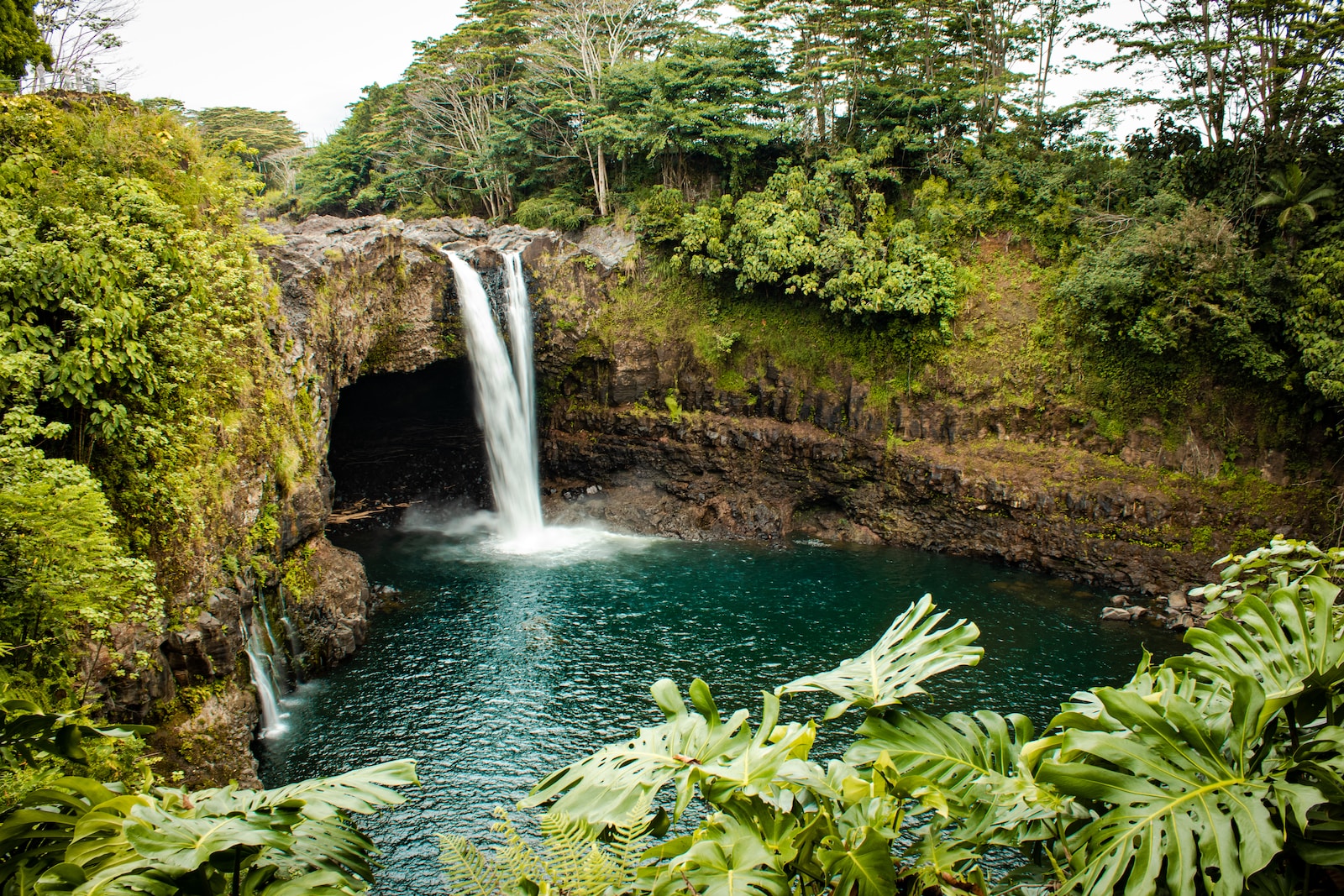 Photo by Chloe Leis Hilo Hawaii from Big Island Exploring: Hilo and Around on Slow Down, See More from Big Island Exploring: Hilo and Around on Slow Down, See More from Big Island Exploring: Hilo and Around on Slow Down, See More from Big Island Exploring: Hilo and Around on Slow Down, See More from Big Island Exploring: Hilo and Around on Slow Down, See More from Big Island Exploring: Hilo and Around on Slow Down, See More from Big Island Exploring: Hilo and Around on Slow Down, See More from Big Island Exploring: Hilo and Around on Slow Down, See More from Big Island Exploring: Hilo and Around on Slow Down, See More from Big Island Exploring: Hilo and Around on Slow Down, See More from Big Island Exploring: Hilo and Around on Slow Down, See More from Big Island Exploring: Hilo and Around on Slow Down, See More from Big Island Exploring: Hilo and Around on Slow Down, See More from Big Island Exploring: Hilo and Around on Slow Down, See More from Big Island Exploring: Hilo and Around on Slow Down, See More from Big Island Exploring: Hilo and Around on Slow Down, See More from Big Island Exploring: Hilo and Around on Slow Down, See More from Big Island Exploring: Hilo and Around on Slow Down, See More from Big Island Exploring: Hilo and Around on Slow Down, See More from Big Island Exploring: Hilo and Around on Slow Down, See More from Big Island Exploring: Hilo and Around on Slow Down, See More from Big Island Exploring: Hilo and Around on Slow Down, See More from Big Island Exploring: Hilo and Around on Slow Down, See More from Big Island Exploring: Hilo and Around on Slow Down, See More from Big Island Exploring: Hilo and Around on Slow Down, See More from Big Island Exploring: Hilo and Around on Slow Down, See More from Big Island Exploring: Hilo and Around on Slow Down, See More from Big Island Exploring: Hilo and Around on Slow Down, See More from Big Island Exploring: Hilo and Around on Slow Down, See More from Big Island Exploring: Hilo and Around on Slow Down, See More from Big Island Exploring: Hilo and Around on Slow Down, See More from Big Island Exploring: Hilo and Around on Slow Down, See More from Big Island Exploring: Hilo and Around on Slow Down, See More from Big Island Exploring: Hilo and Around on Slow Down, See More from Big Island Exploring: Hilo and Around on Slow Down, See More